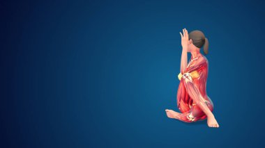 3D human Ardha Matsyendrasana or Half Lord of the Fishes yoga pose on blue background
