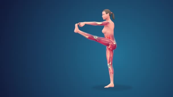 在蓝色背景下 3D人类的 Utthita Hasta Padangusthasana 瑜伽姿势 — 图库视频影像