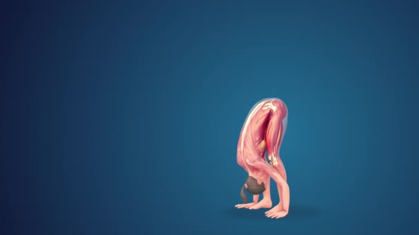 Menselijke Uttanasana Yoga Pose Blauwe Achtergrond — Stockvideo