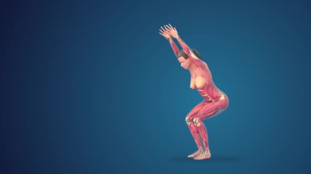 Human Utkatasana Chair Yoga Pose Blue Background — Stock Video