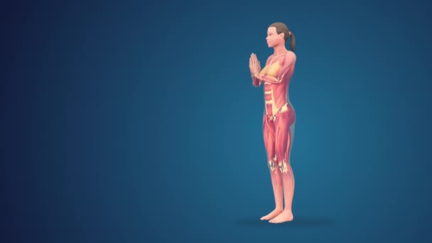 3D人类塔达萨纳在蓝色背景下祈祷瑜伽 — 图库视频影像