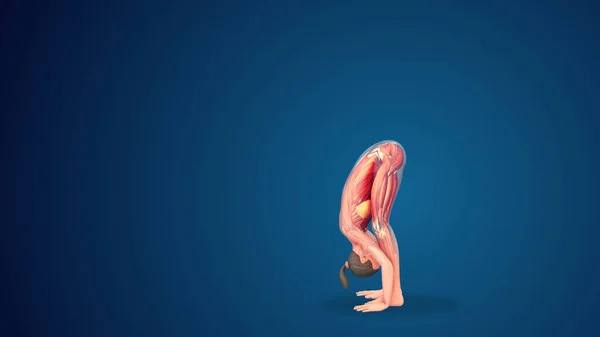 Umano Uttanasana Yoga Posa Sfondo Blu — Foto Stock