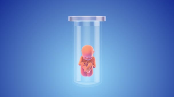 Test Tube Baby Vitro Fertilization — Stock Video