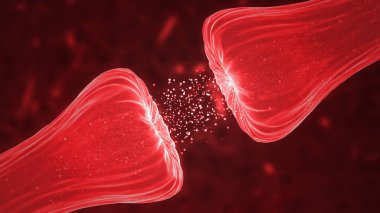 Nöronal ve sinaps etkinlik canlandırma arkaplanı