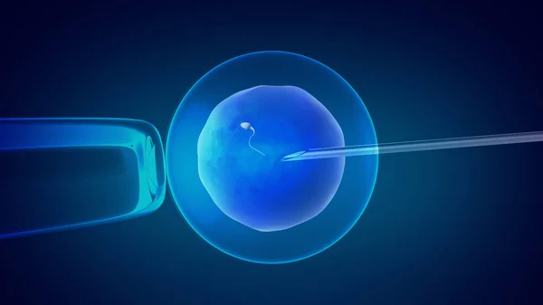 Vitro Γονιμοποίηση Έννοια Τεχνητή Γονιμοποίηση — Φωτογραφία Αρχείου