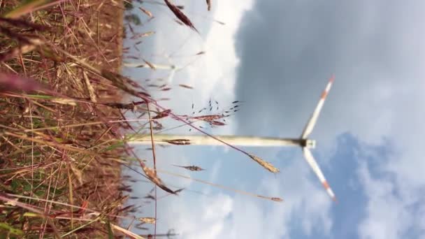 Turbinas Eólicas Generadoras Energía Renovable Limpia — Vídeos de Stock