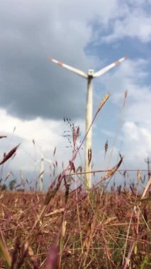 Rüzgar güç türbinleri temiz yenilenebilir enerji üretiyor. Dikey 