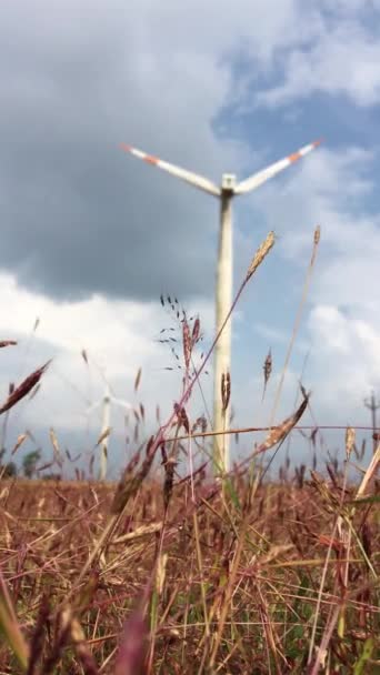 Turbines Éoliennes Produisant Des Énergies Renouvelables Propres Vertical — Video