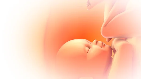Foetus Humain Dans Utérus Maternel — Photo
