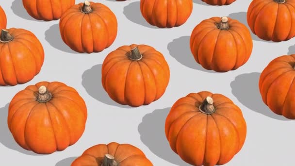 Pumpkin Seamless Looping Animation — Stock Video