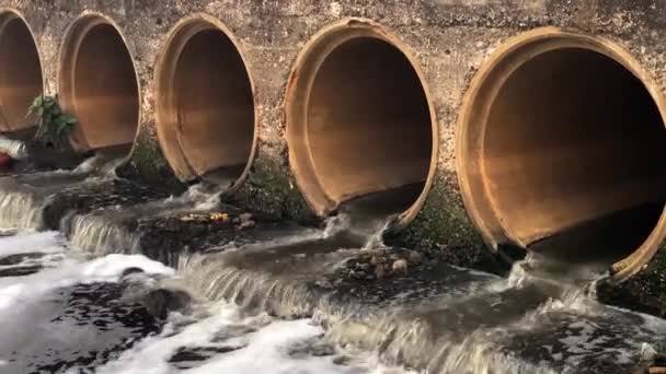 Abwasser Fließt Flüsse Und Verschmutzt Wasser Und Umwelt — Stockvideo