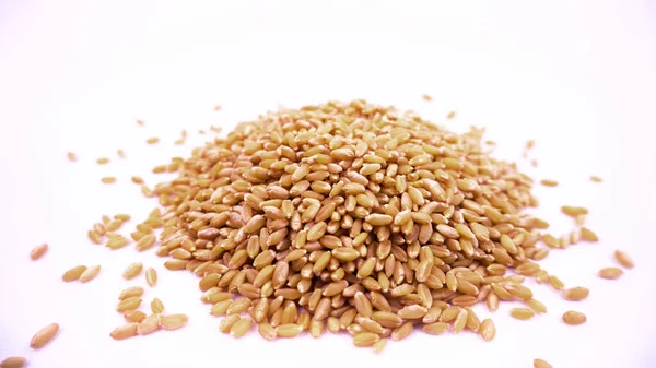 Цельные Зерна Пшеницы Падают Студийный Фон — стоковое фото