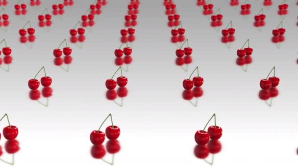 Червоні Вишні Білому Тлі Циклічне Анімаційне Відео — стокове відео