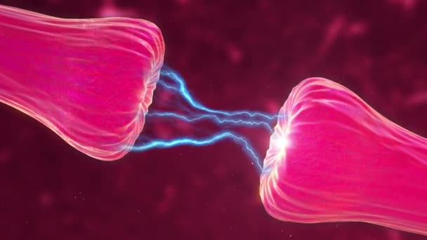 Neuronale Synapse Activiteit Animatie Toont Chemische Boodschappers Neurotransmitters Vrijgegeven Neuronen — Stockvideo