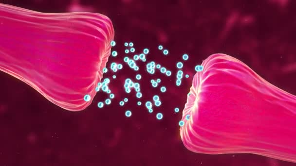 Анімація Нейронної Синапсової Активності Показує Випущені Хімічні Месенджери Або Нейромедіатори — стокове відео
