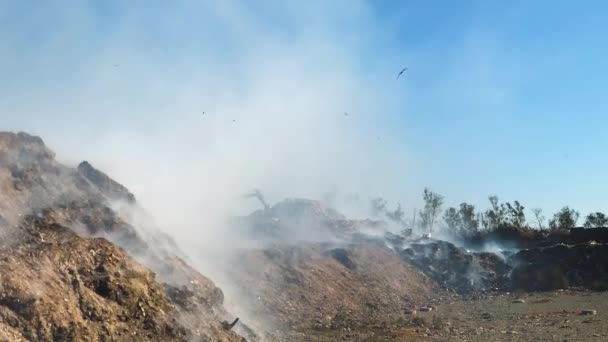 Szemétkupac Elégetése Szemétlerakóban Vagy Hulladéklerakóban Mérgező Füst Kibocsátása Környezetben Szennyező — Stock videók
