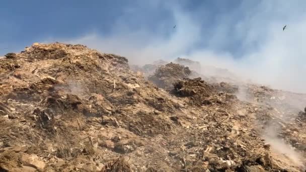 쓰레기 더미를 쓰레기장이나 매립지에 환경에서 연기를 공기를 시킨다 — 비디오