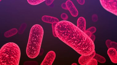 Salmonella bakterisi. S. typhi, S. typhimurium ve diğer Salmonella, çubuk şeklindeki bakteriler, enterik tifüsün nedensel faktörleri ve gıda zehirlenmesi salmonellozu.