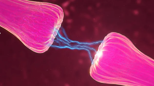Нейрональная Синаптическая Активность Показывающая Выброс Химических Мессенджеров Нейромедиаторов Нейроны Проявляющие — стоковое фото