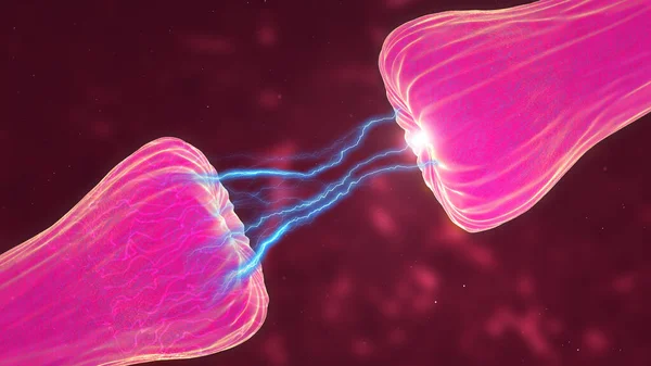 Neuronale Und Synapse Aktivität Die Chemische Botenstoffe Oder Neurotransmitter Freisetzt — Stockfoto