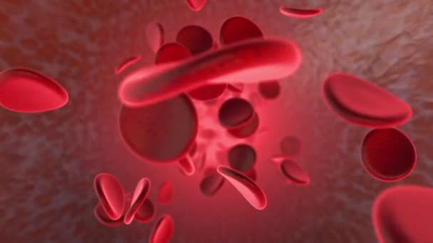 Rode Bloedcellen Ader Slagader — Stockvideo