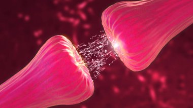 Nöronal ve Sinir Aktivitesi kimyasal kuryeler ya da nörotransmiter salınımını gösteriyor. Nöroaktiviteleri, sinapsları, nörotransmiterleri, beyni, aksonları gösteren nöronlar