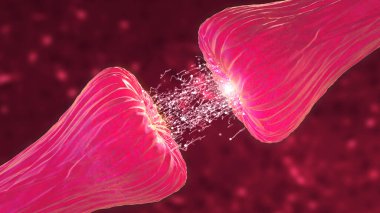 Nöronal ve Sinir Aktivitesi kimyasal kuryeler ya da nörotransmiter salınımını gösteriyor. Nöroaktiviteleri, sinapsları, nörotransmiterleri, beyni, aksonları gösteren nöronlar