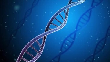 Mavi arka planda soyut DNA 3 boyutlu animasyon. Mavi arka planda yüzen birden fazla DNA molekülü veya DNA türünün canlandırılması.