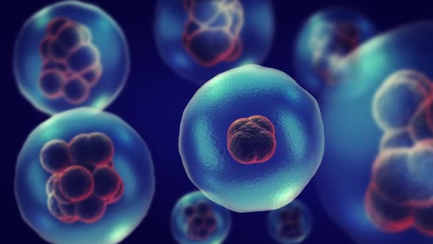 Hücreleri Bölme Veya Çoğaltma Veya Çoğaltma — Stok video