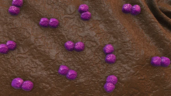 Cellules Bactéries Virus — Photo