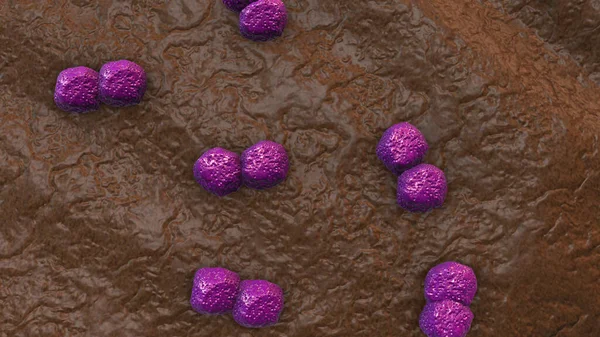 Zellen Von Bakterien Oder Viren — Stockfoto