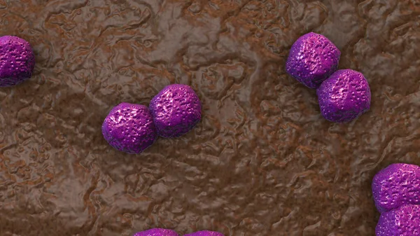 Cellen Van Bacteriën Virussen — Stockfoto