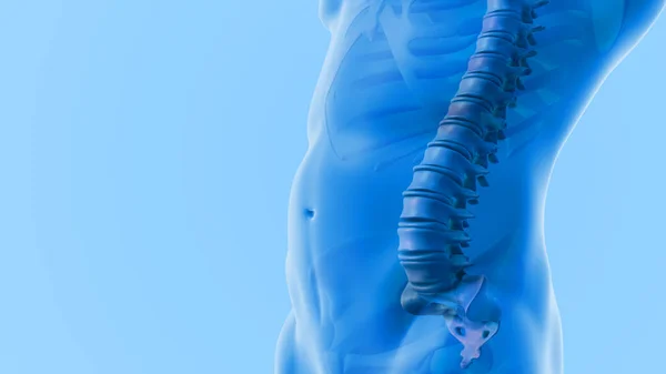 Figura Medica Con Una Colonna Vertebrale Dolorosa — Foto Stock