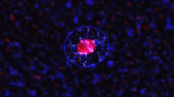 Ділення Клітин Під Мікроскопом — стокове відео