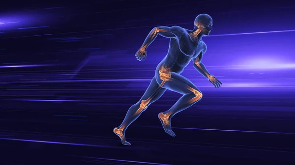 İnsan vücudu ortak tıbbi konsepti