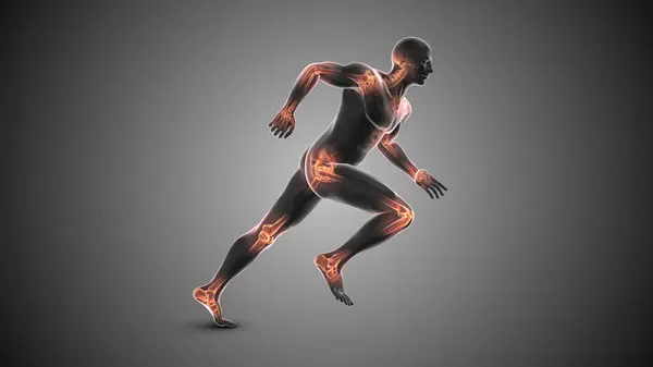 İnsan vücudundaki eklemler için tıbbi konsept