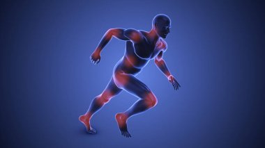 İnsan vücudundaki eklemler