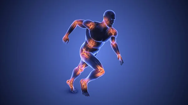 İnsan vücudundaki eklemler