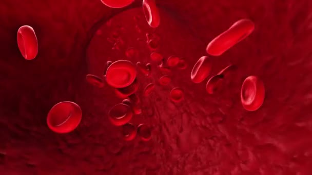 Rote Blutkörperchen Fließen Durch Blutgefäße — Stockvideo