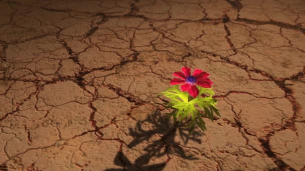 Conceito Aquecimento Global Com Flor Terra Calado — Vídeo de Stock