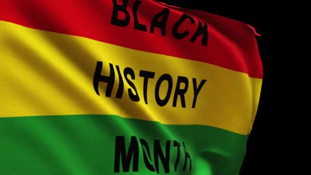 黒い歴史を振る月の旗のクローズアップ — ストック動画