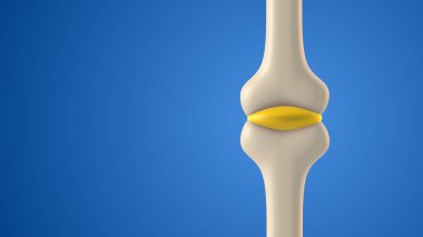 Sinoviyal sıvı ile insan eklem boşluğu