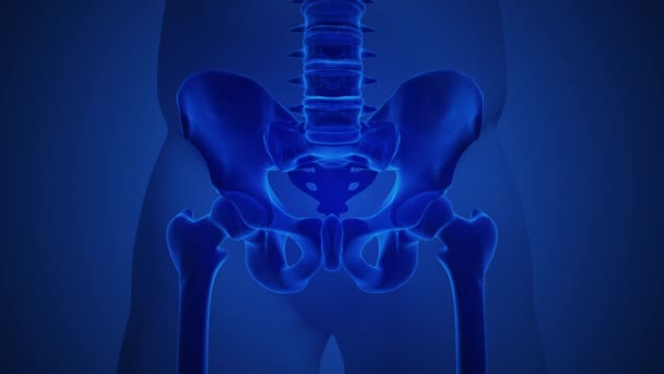 Conceito Anatomia Uma Articulação Artrítica Sacroilíaca — Vídeo de Stock