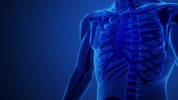 Een Menselijke Röntgenfoto Met Het Linker Ribbeen Met Blauwe Achtergrond — Stockvideo