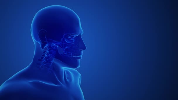 Concepto Articulación Temporomandibular Dolorosa Médica — Vídeos de Stock