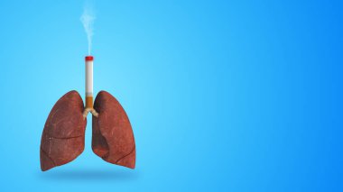 Sigara içmenin zararlı etkileri nedeniyle insan ciğerlerinde hasar