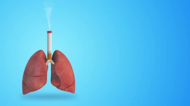 Sigara içmenin zararlı etkileri nedeniyle insan ciğerlerinde hasar