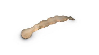 Beyaz arka planda izole edilmiş insan sternum kemiği