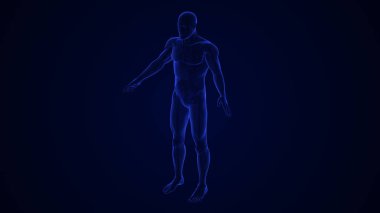 Kırık Patella Kemik Tıbbi Konsepti