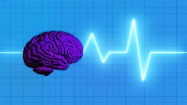 İnsan Beyni ve Nabız Dalgası parlıyor